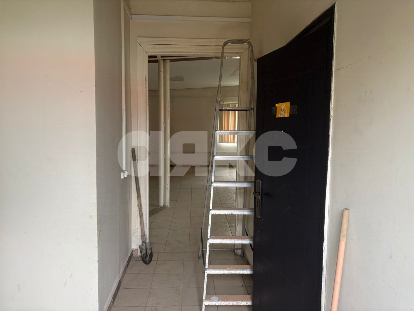 Фото №13: Коммерция 240 м² - Большие Салы, ул. Ленина, 7А