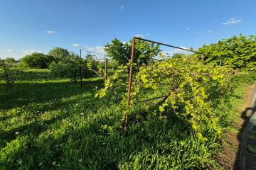 Фото №5: Дом 83 м² - Новотитаровская, ул. Выгонная, 172