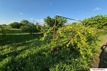 Фото №5: Дом 83 м² - Новотитаровская, ул. Выгонная, 172