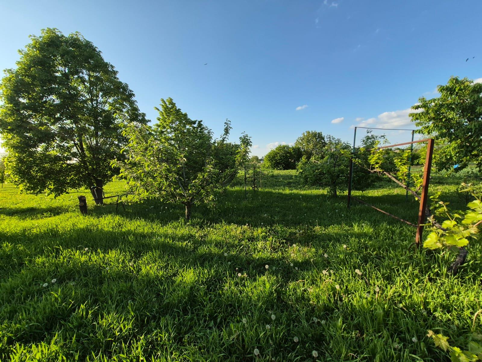 Фото №4: Дом 83 м² + 14.5 сот. - Новотитаровская, ул. Выгонная, 172