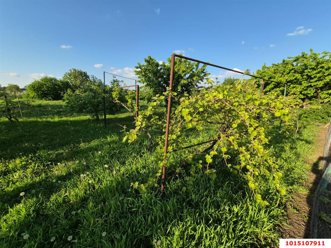 Фото №5: Дом 83 м² + 14.5 сот. - Новотитаровская, ул. Выгонная, 172