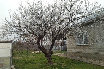 Фото №3: Дом 150 м² - Болгов, ул. Советская, 33