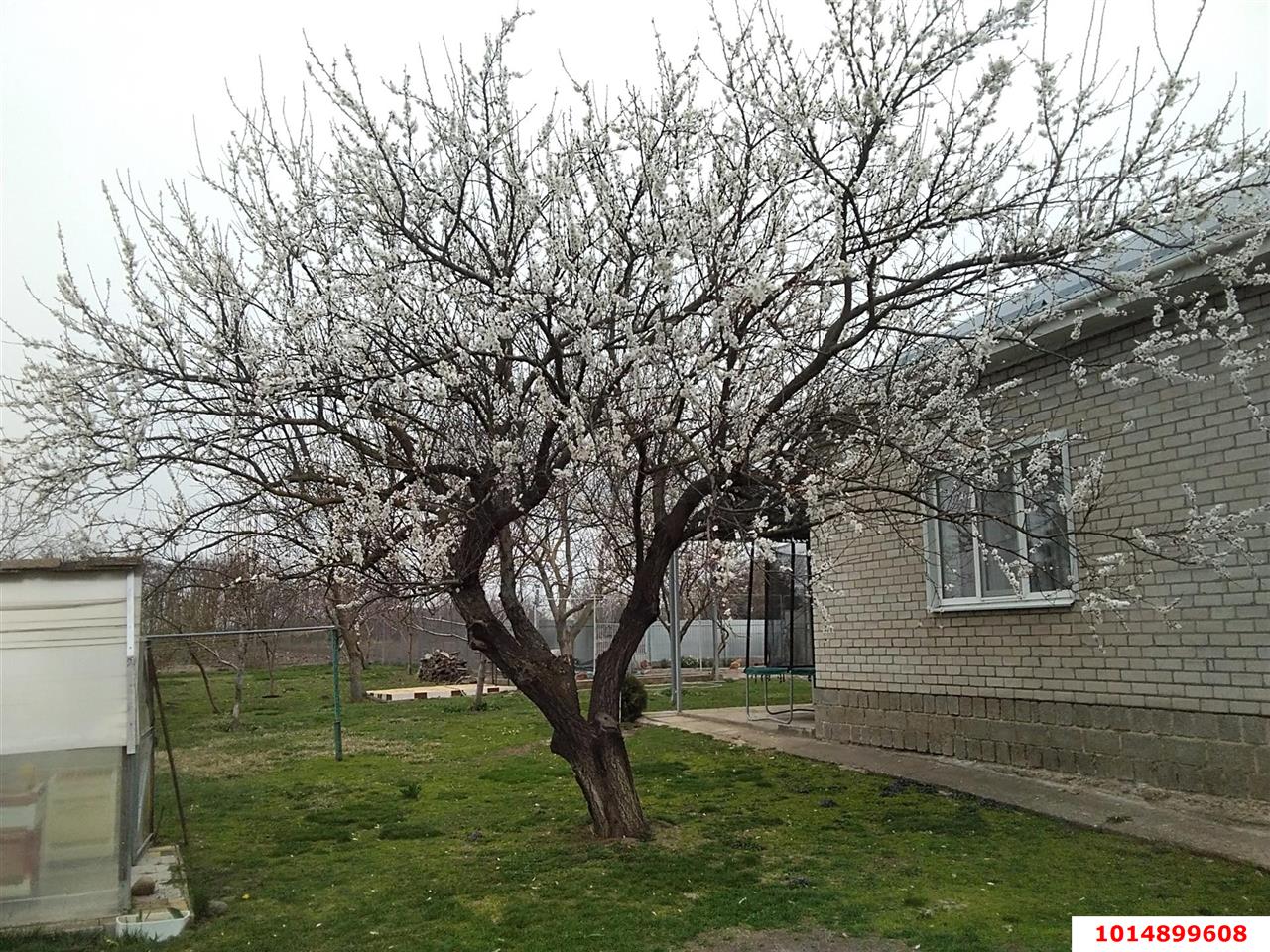 Фото №3: Дом 150 м² + 49 сот. - Болгов, ул. Советская, 33