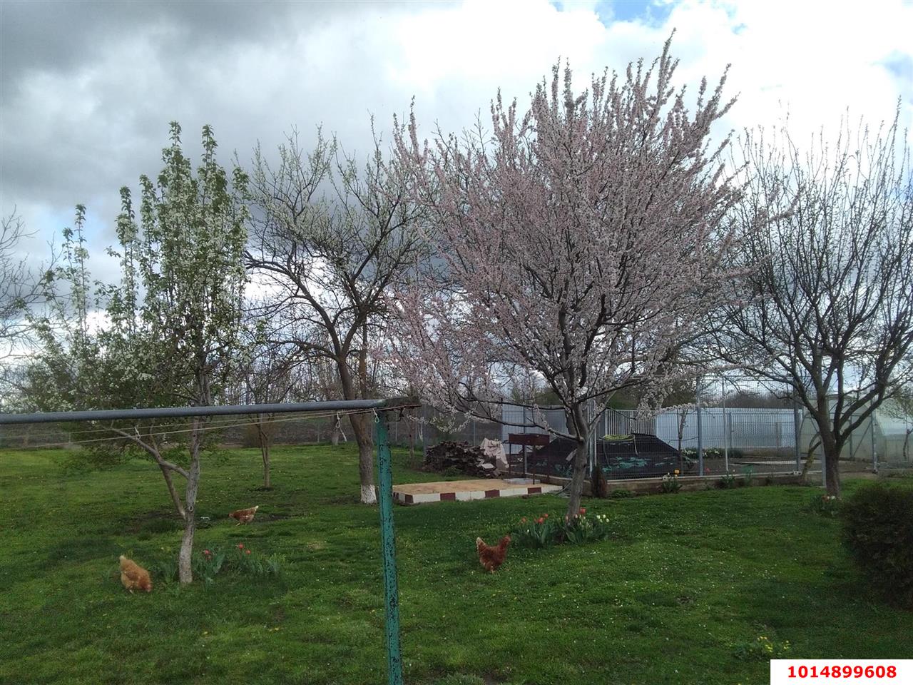 Фото №8: Дом 150 м² + 49 сот. - Болгов, ул. Советская, 33