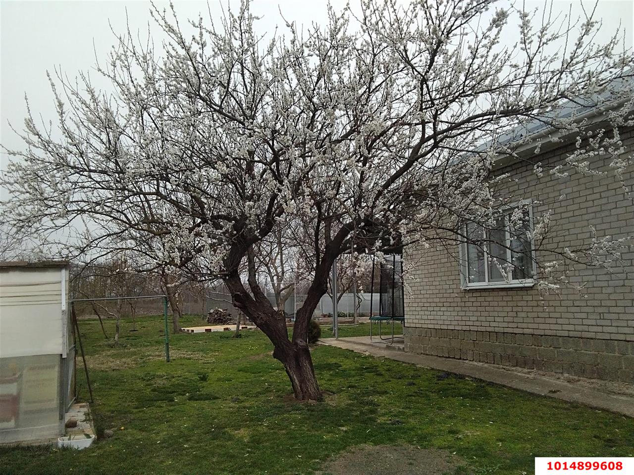 Фото №7: Дом 150 м² + 49 сот. - Болгов, ул. Советская, 33