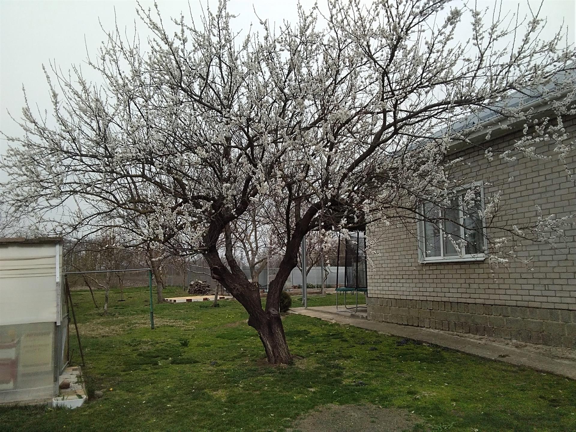 Фото №7: Дом 150 м² + 49 сот. - Болгов, ул. Советская, 33