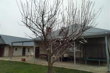 Фото №2: Дом 150 м² - Болгов, ул. Советская, 33