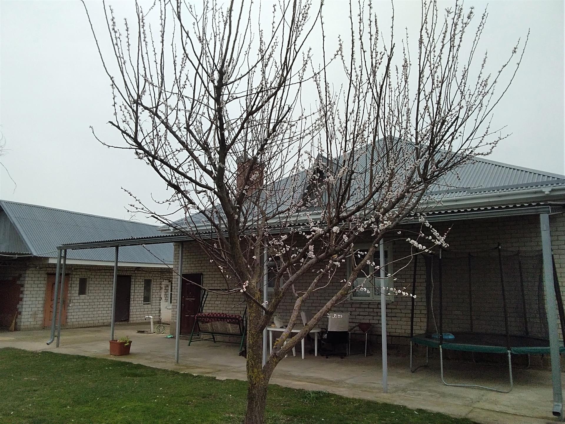 Фото №2: Дом 150 м² + 49 сот. - Болгов, ул. Советская, 33