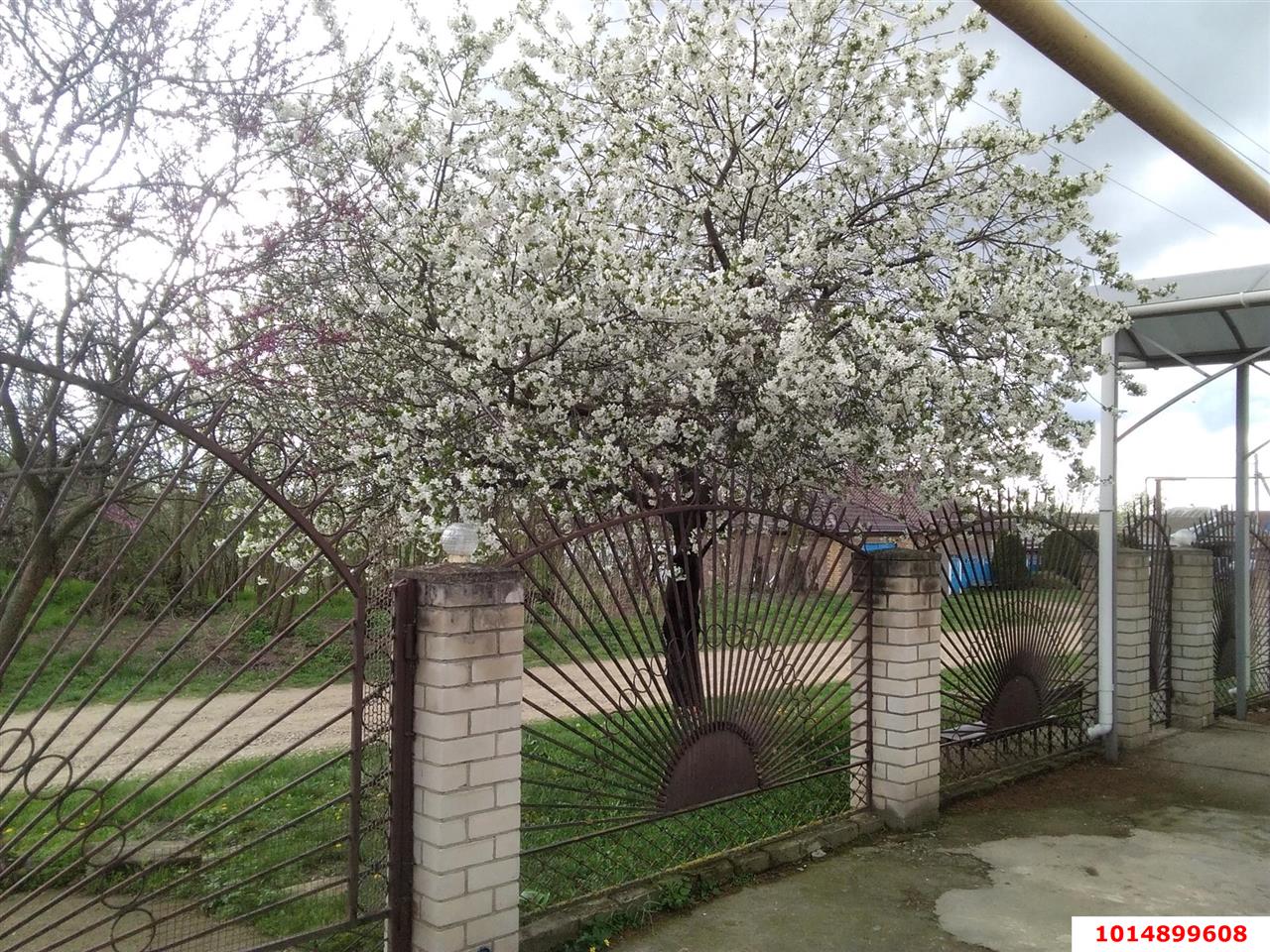 Фото №6: Дом 150 м² + 49 сот. - Болгов, ул. Советская, 33