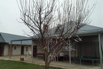 Фото №2: Дом 150 м² - Болгов, ул. Советская, 33