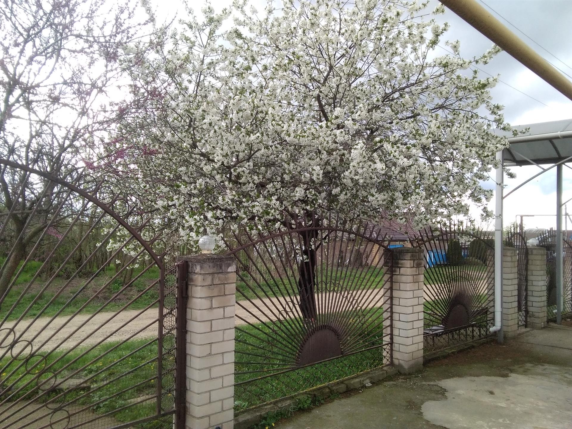 Фото №6: Дом 150 м² + 49 сот. - Болгов, ул. Советская, 33