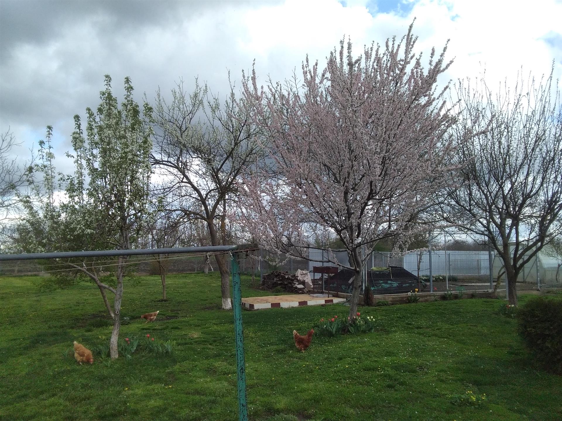 Фото №8: Дом 150 м² + 49 сот. - Болгов, ул. Советская, 33