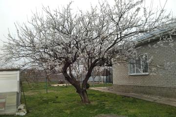 Фото №3: Дом 150 м² - Болгов, ул. Советская, 33