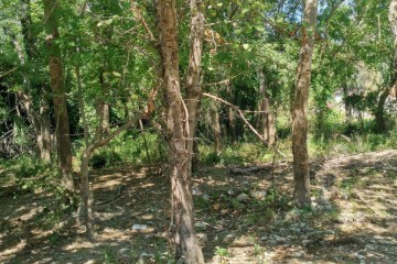 Фото №5: Земельный участок под ИЖС 8 сот. - Лермонтово, ст Бодрость, ул. Садовая, 20