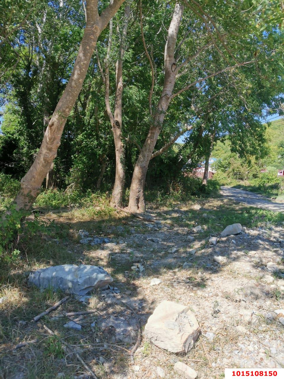 Фото №3: Земельный участок под ИЖС 8 сот. - Лермонтово, Бодрость, ул. Садовая, 20