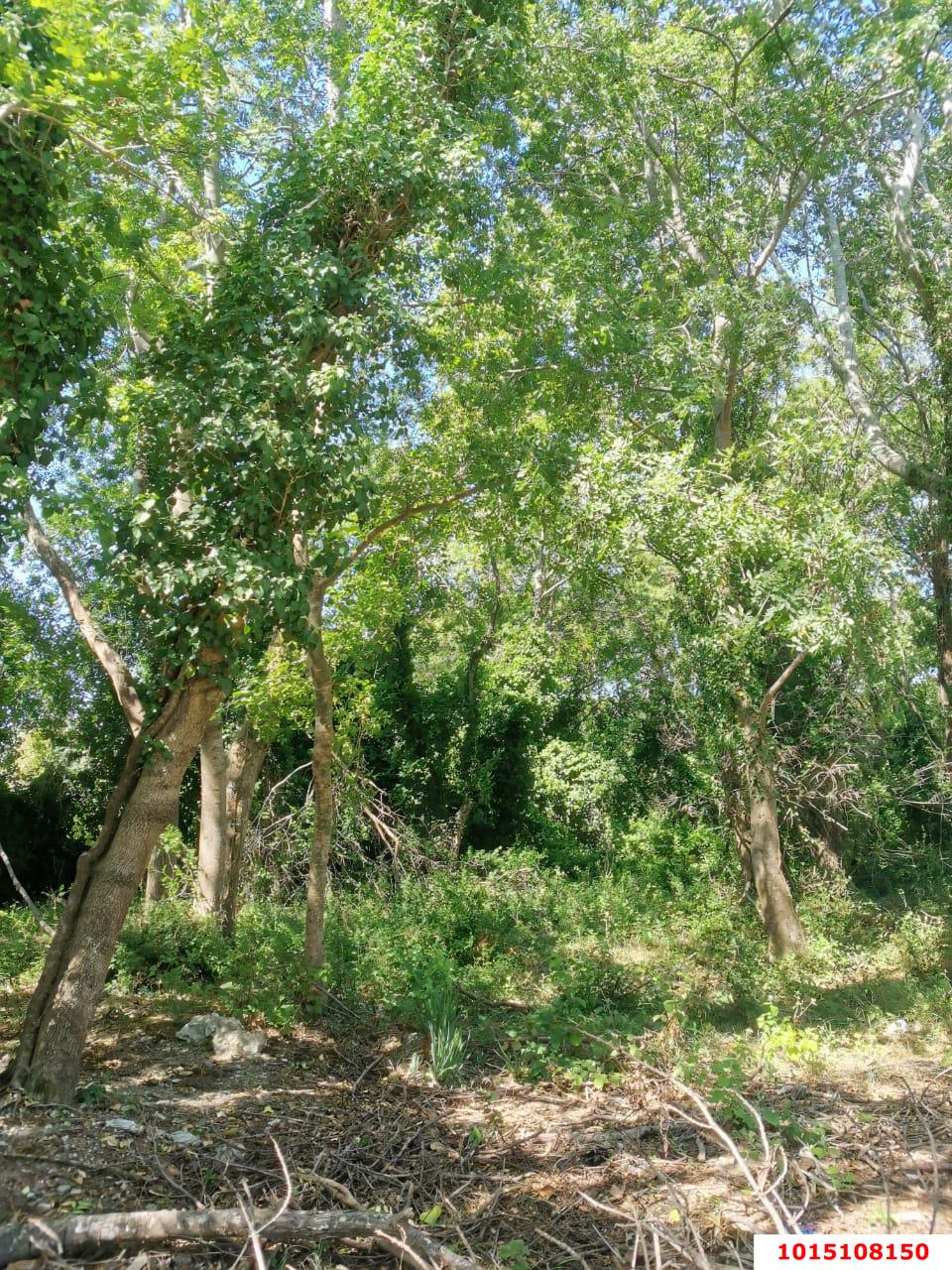 Фото №6: Земельный участок под ИЖС - Лермонтово, ст Бодрость, ул. Садовая, 20