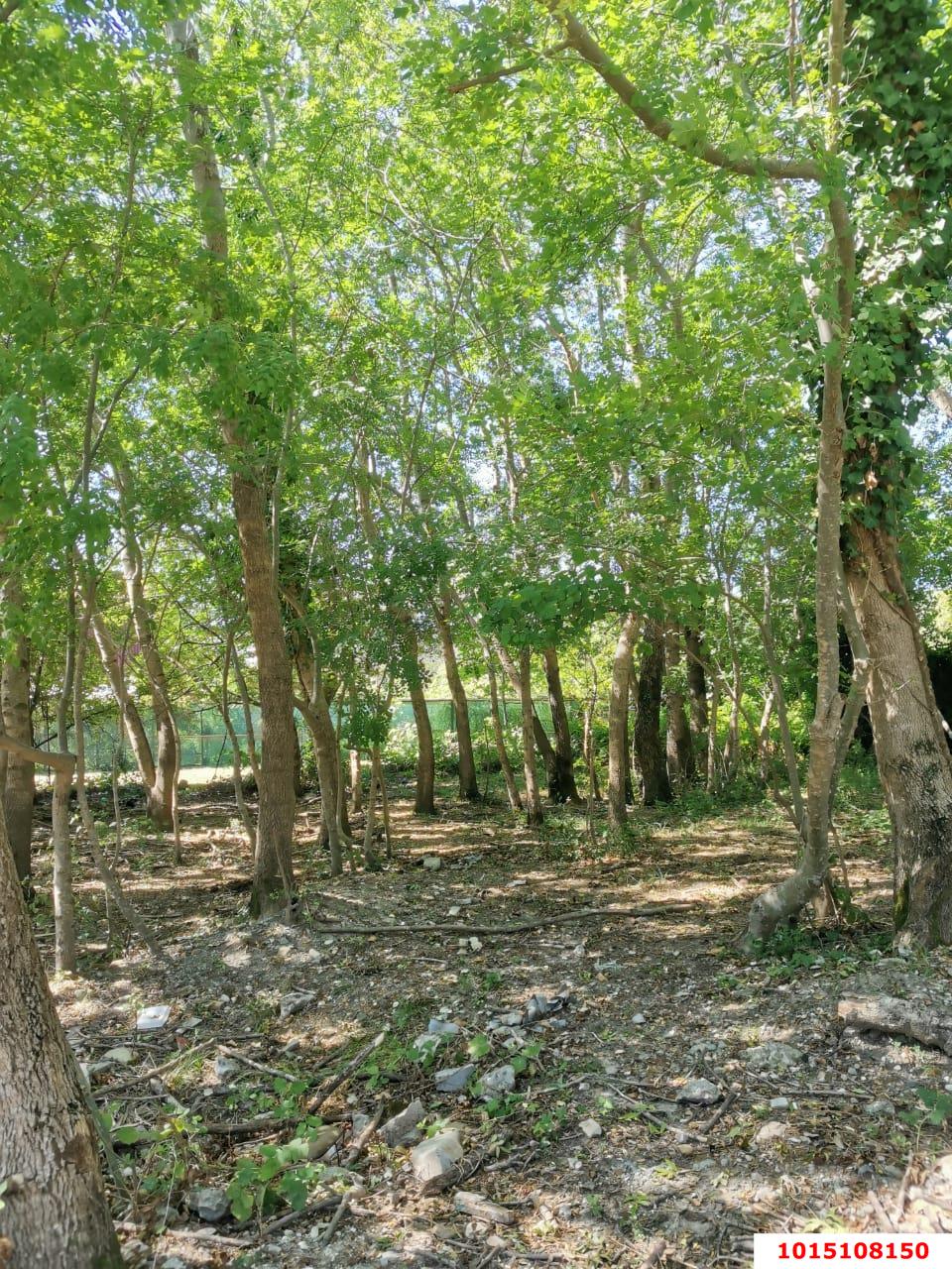 Фото №4: Земельный участок под ИЖС 8 сот. - Лермонтово, Бодрость, ул. Садовая, 20