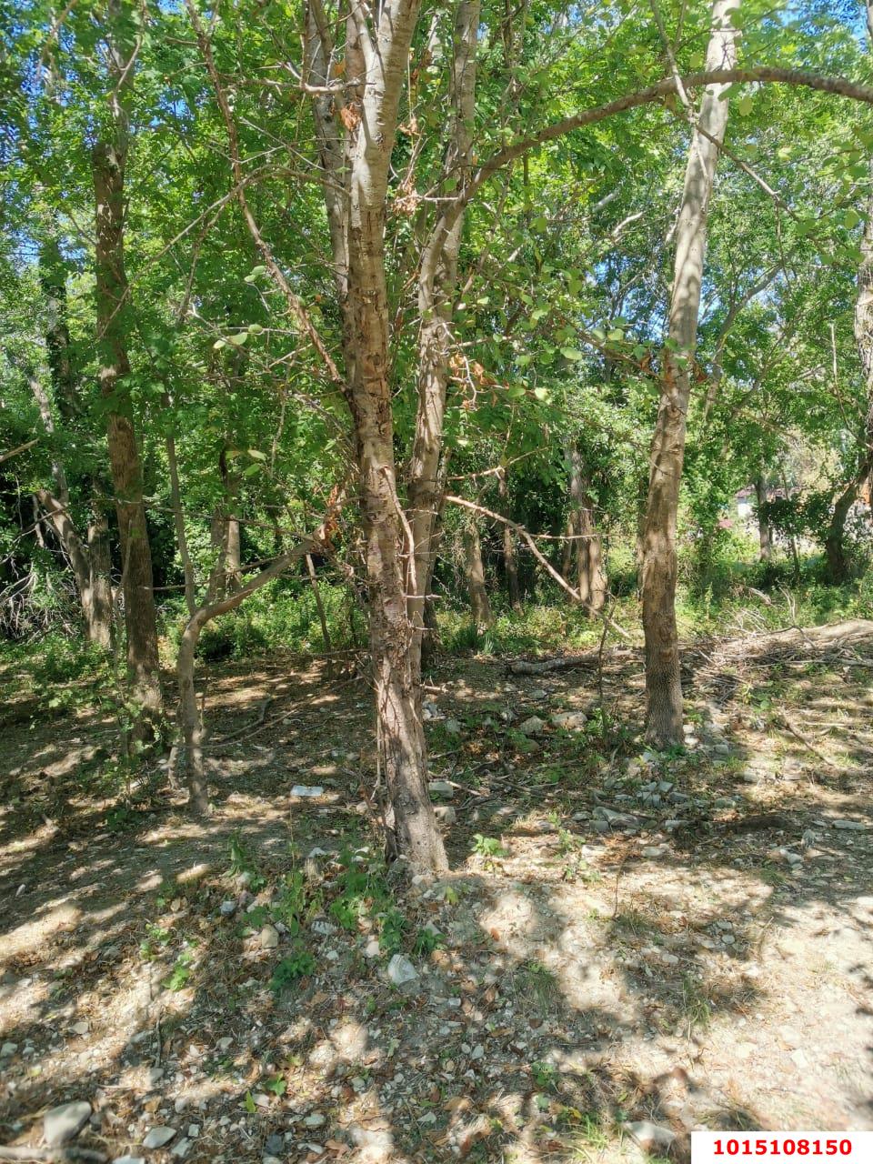 Фото №5: Земельный участок под ИЖС 8 сот. - Лермонтово, Бодрость, ул. Садовая, 20