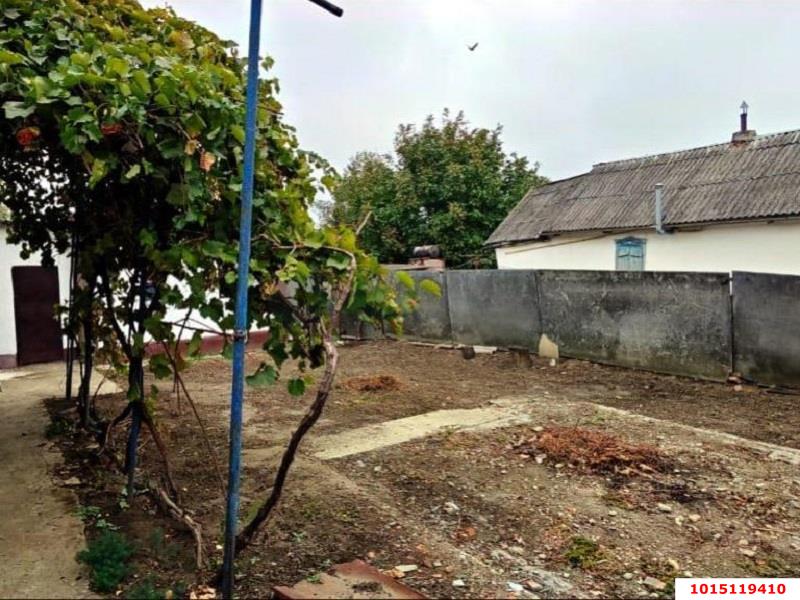 Фото №11: Личное подсобное хозяйство 19 сот. - Новоплатнировская, ул. Кирпичная