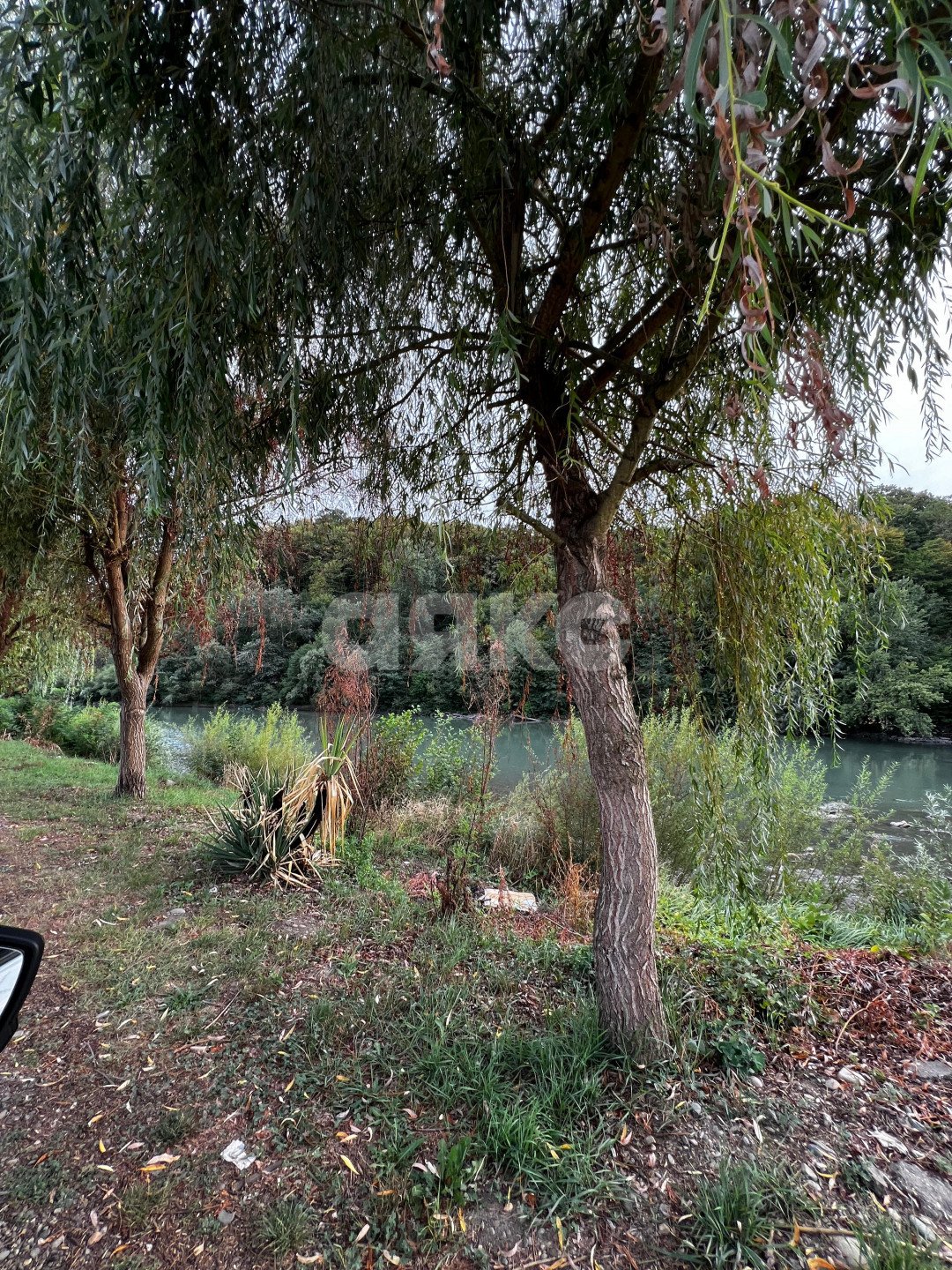 Фото №3: Земельный участок под ИЖС 5 сот. - Майкоп, ДНТ Дружба, ул. Грушевая, 16