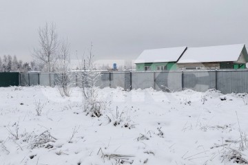 Фото №5: Дачное некоммерческое партнерство - Московская область Раменский муниципальный округ