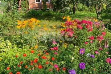 Фото №3: Участок садоводство - Новогромово, мкр. СНТ Хуторок, 5