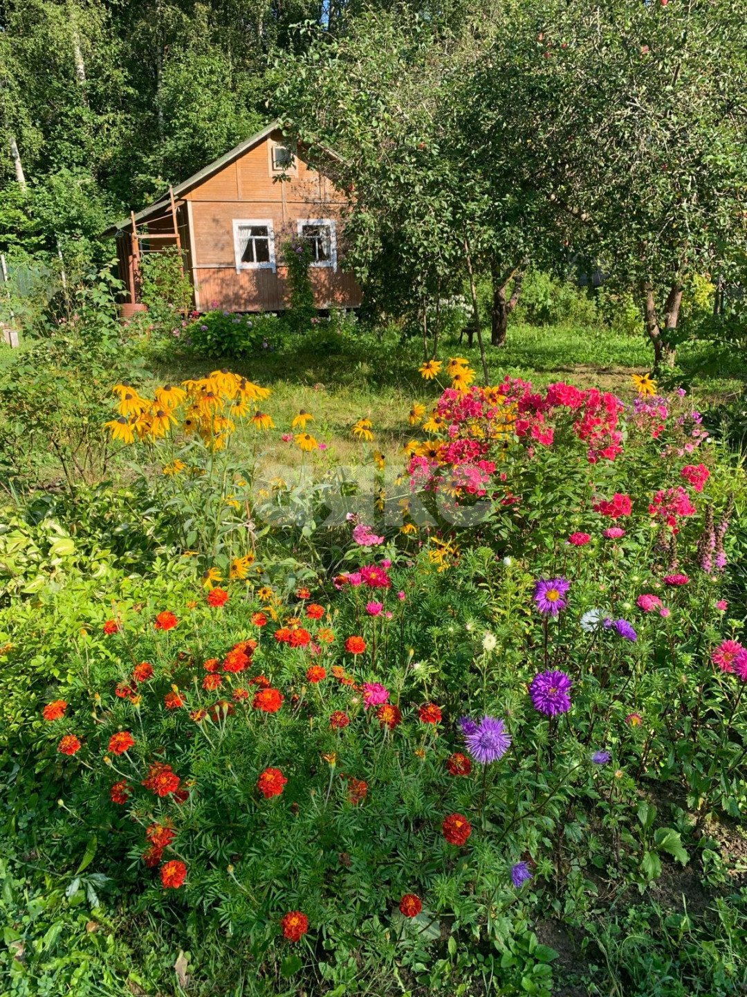 Фото №3: Участок садоводство 676 сот. - Новогромово, СНТ Хуторок, 5