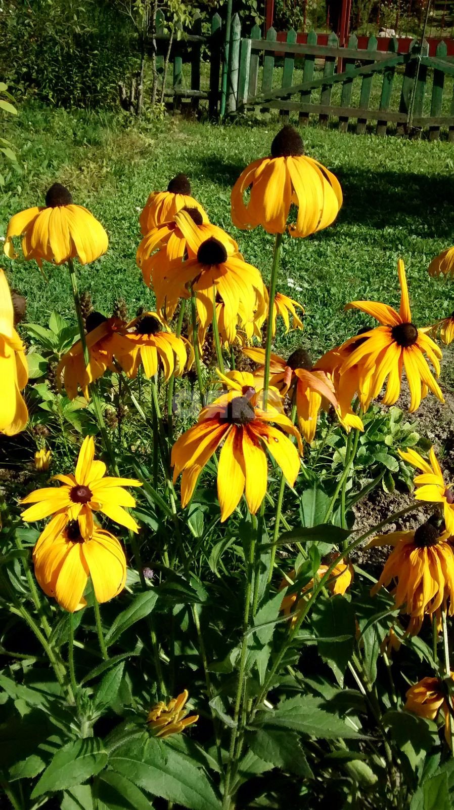 Фото №18: Участок садоводство 676 сот. - Новогромово, СНТ Хуторок, 5