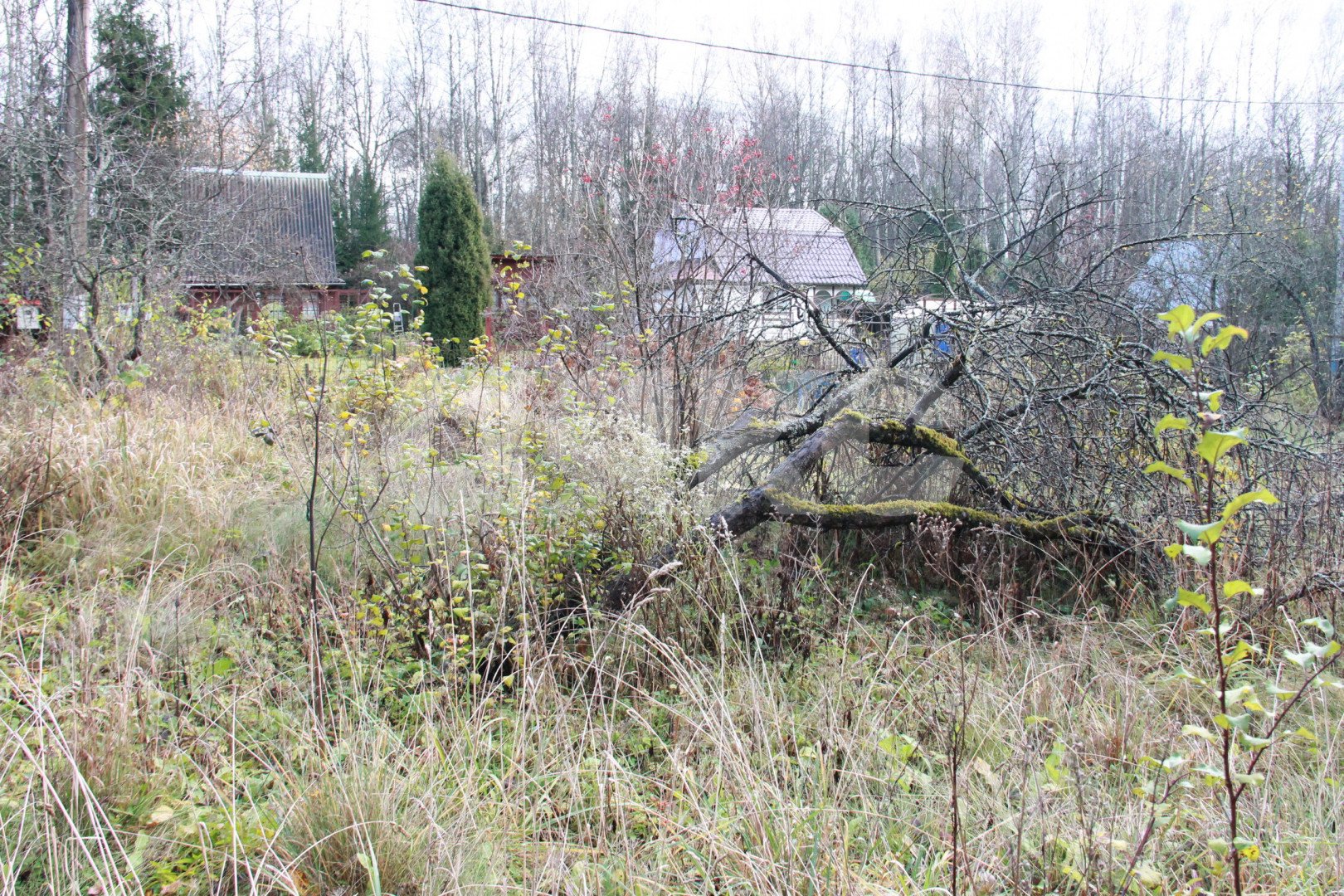 Фото №21: Участок садоводство 676 сот. - Новогромово, СНТ Хуторок, 5