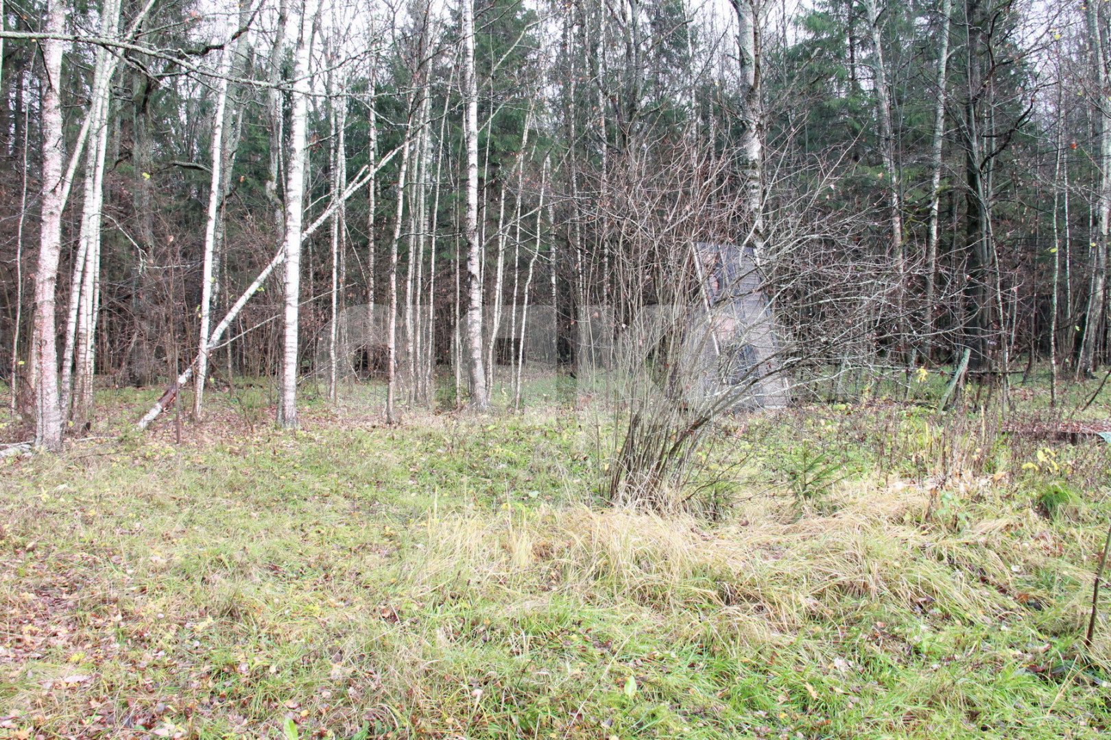 Фото №17: Участок садоводство 676 сот. - Новогромово, СНТ Хуторок, 5