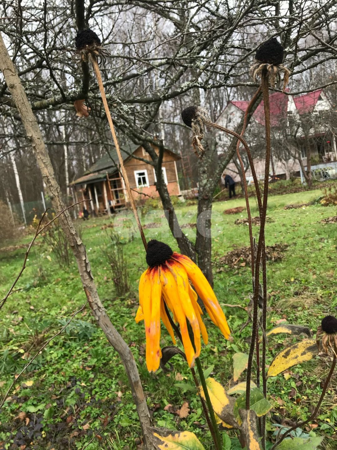 Фото №11: Участок садоводство 676 сот. - Новогромово, СНТ Хуторок, 5