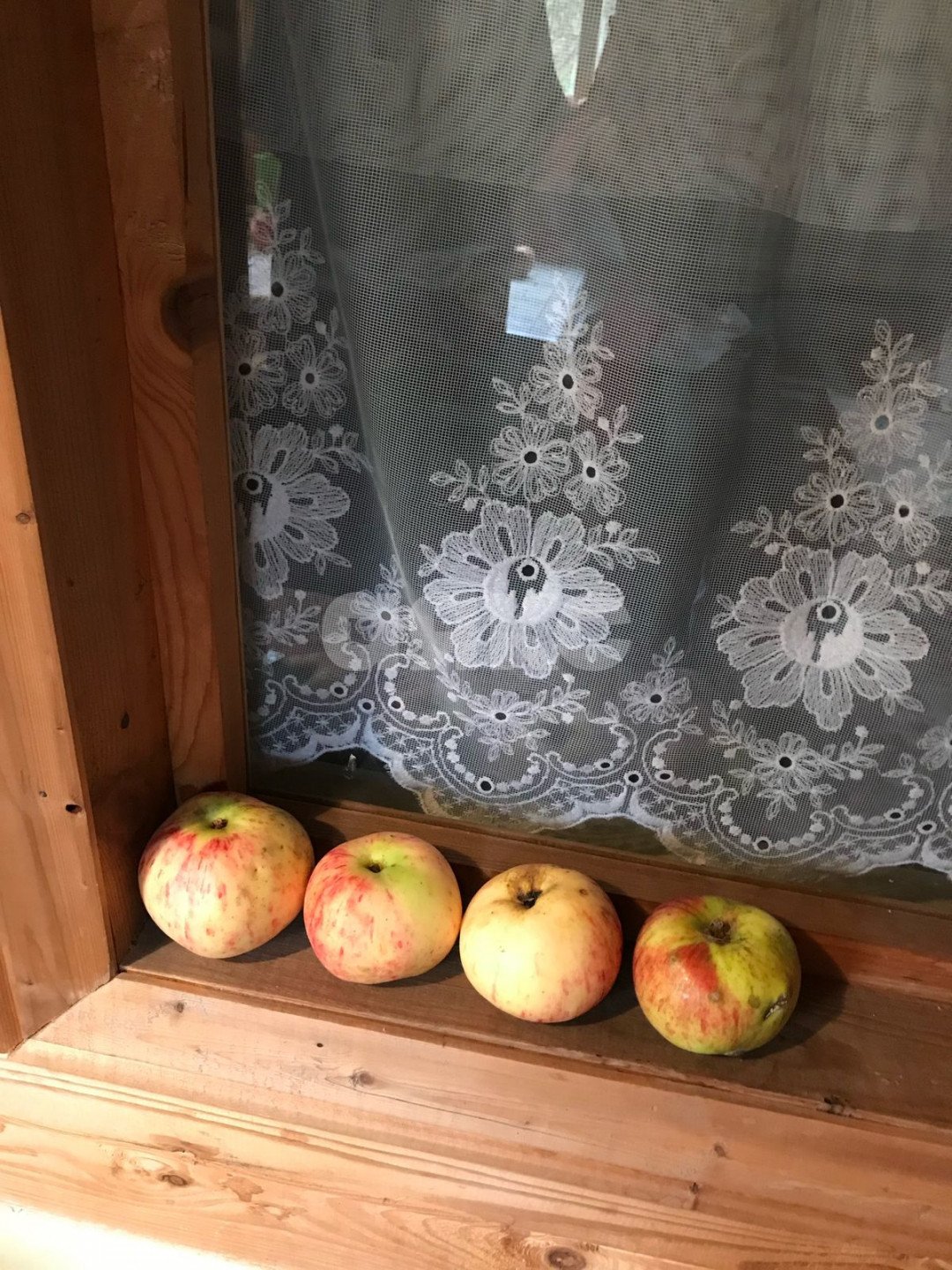 Фото №19: Участок садоводство 676 сот. - Новогромово, СНТ Хуторок, 5