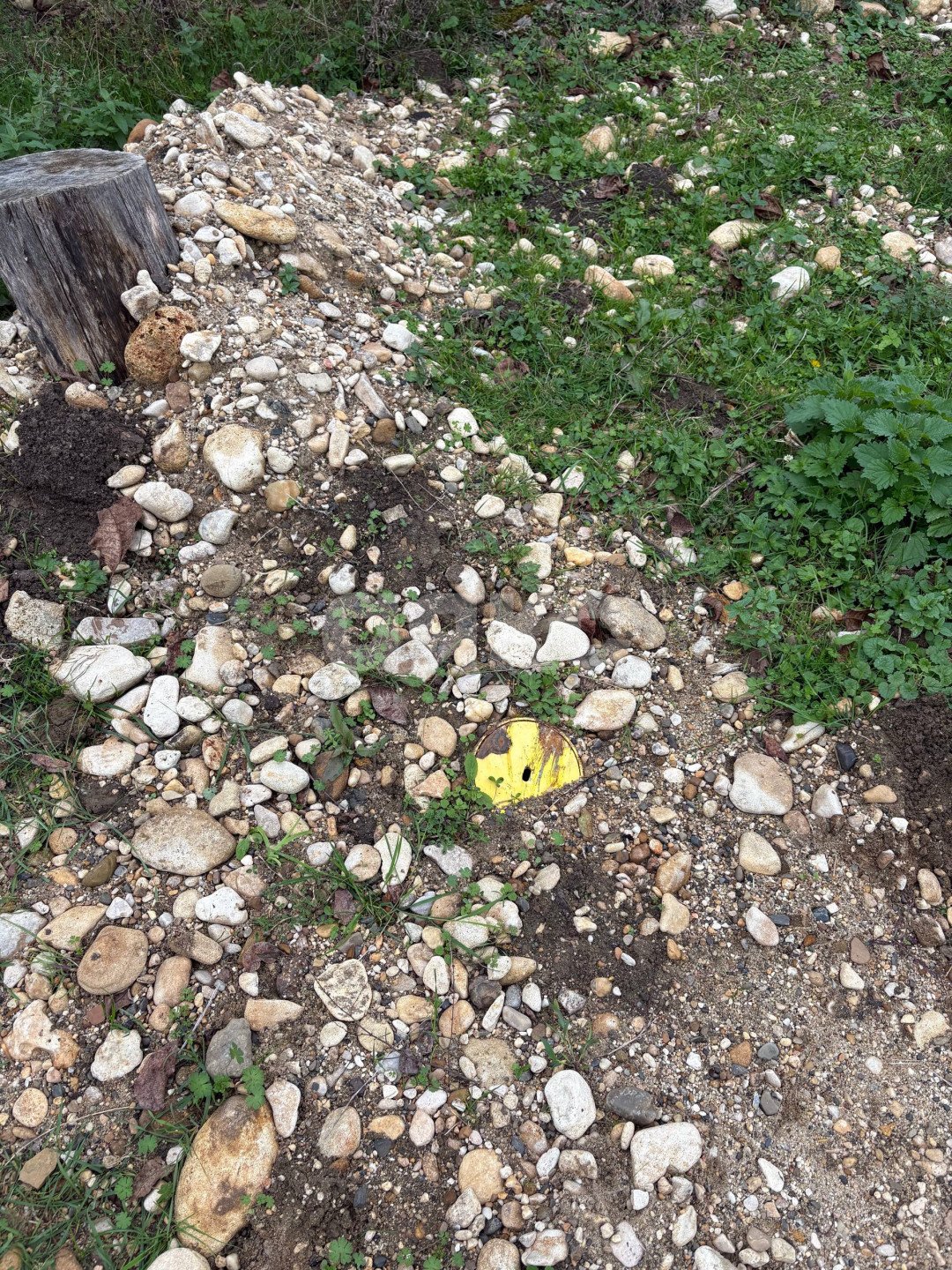 Фото №4: Личное подсобное хозяйство 32 сот. - Новосвободная, ул. Комсомольская, 3