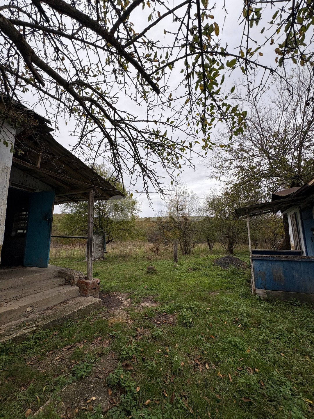 Фото №1: Личное подсобное хозяйство 32 сот. - Новосвободная, ул. Комсомольская, 3