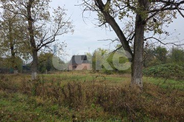 Фото №3: Участок садоводство - Успенское, мкр. СОТ Изабелла, 