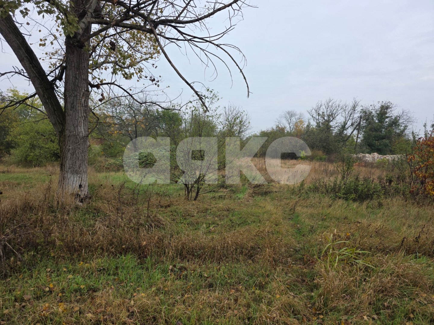 Фото №1: Участок садоводство 5 сот. - Успенское, СОТ Изабелла