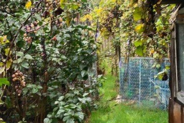 Фото №2: Часть дома 36 м² - Краснодар, мкр. Дубинка, ул. имени Пугачёва