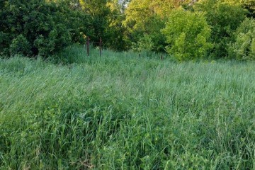 Фото №3: Земельный участок под ИЖС 4.53 сот. - Горячий Ключ, мкр. Браславец, ул. Жидковая