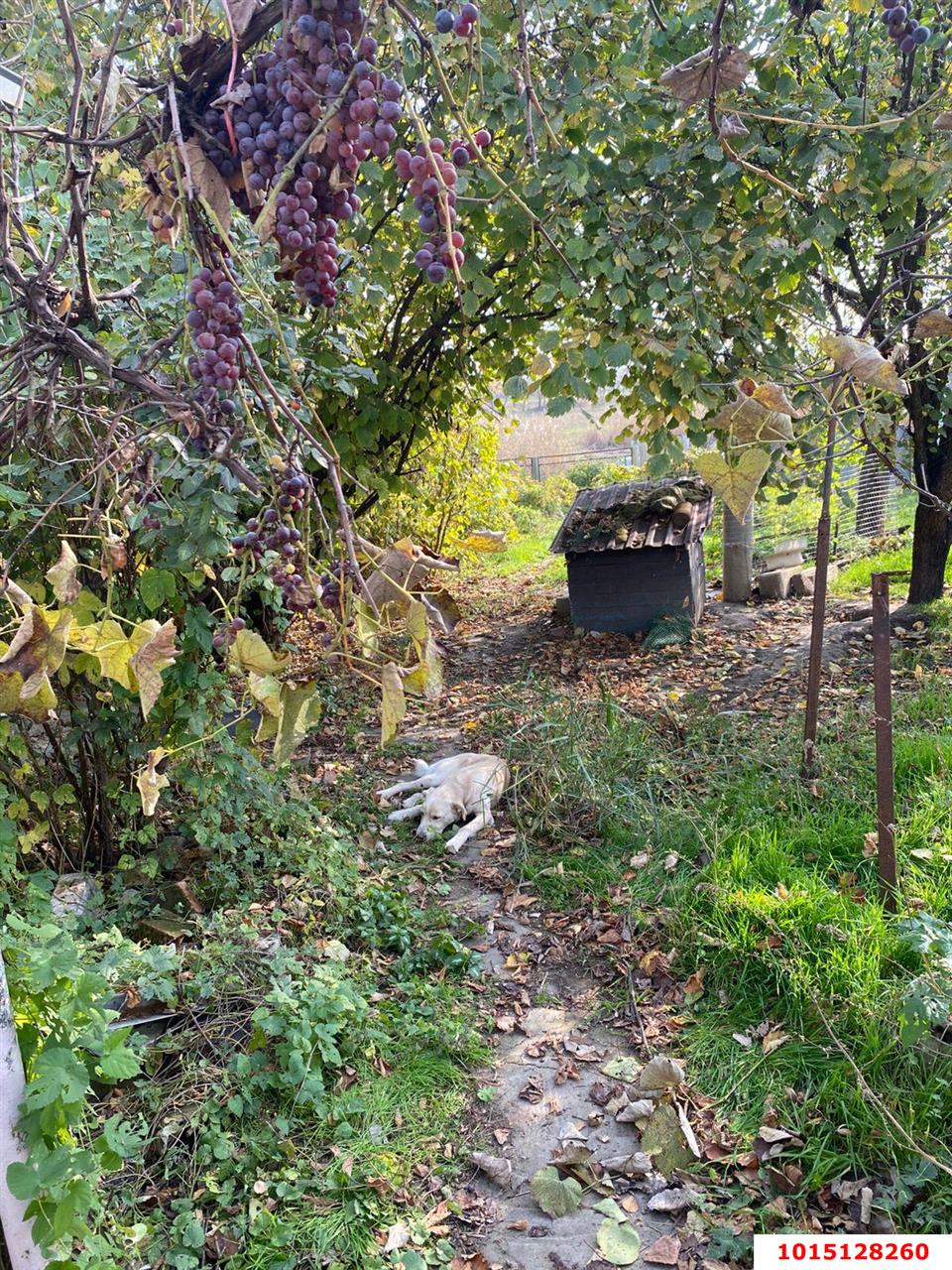 Фото №11: Дом 38 м² + 18.45 сот. - Марьянская, ул. Южная, 14