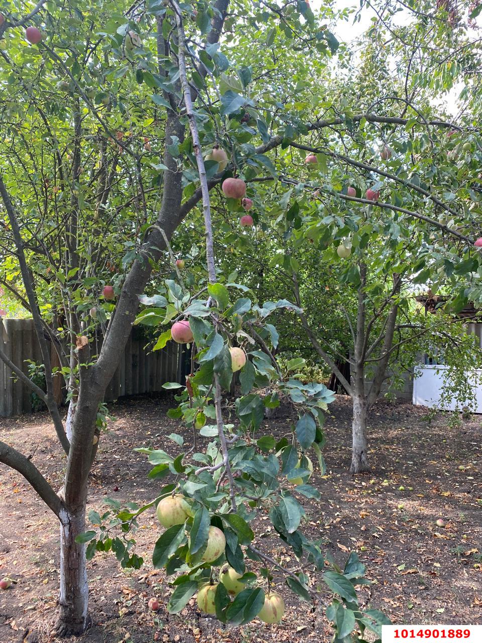 Фото №20: Дом 90 м² + 13.68 сот. - Медведовская, ул. Ковтюха, 37