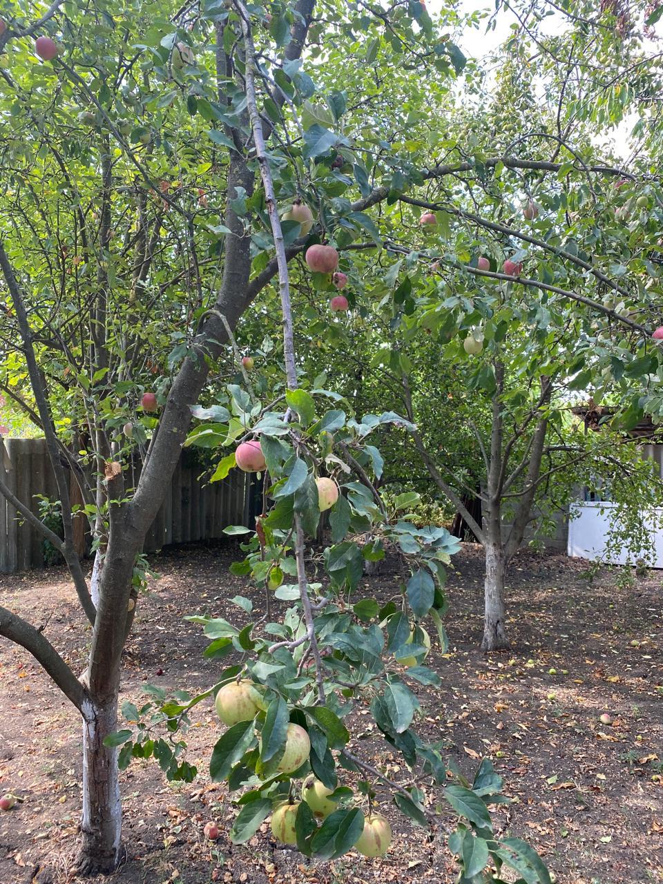 Фото №20: Дом 90 м² + 13.68 сот. - Медвёдовская, ул. Ковтюха, 37