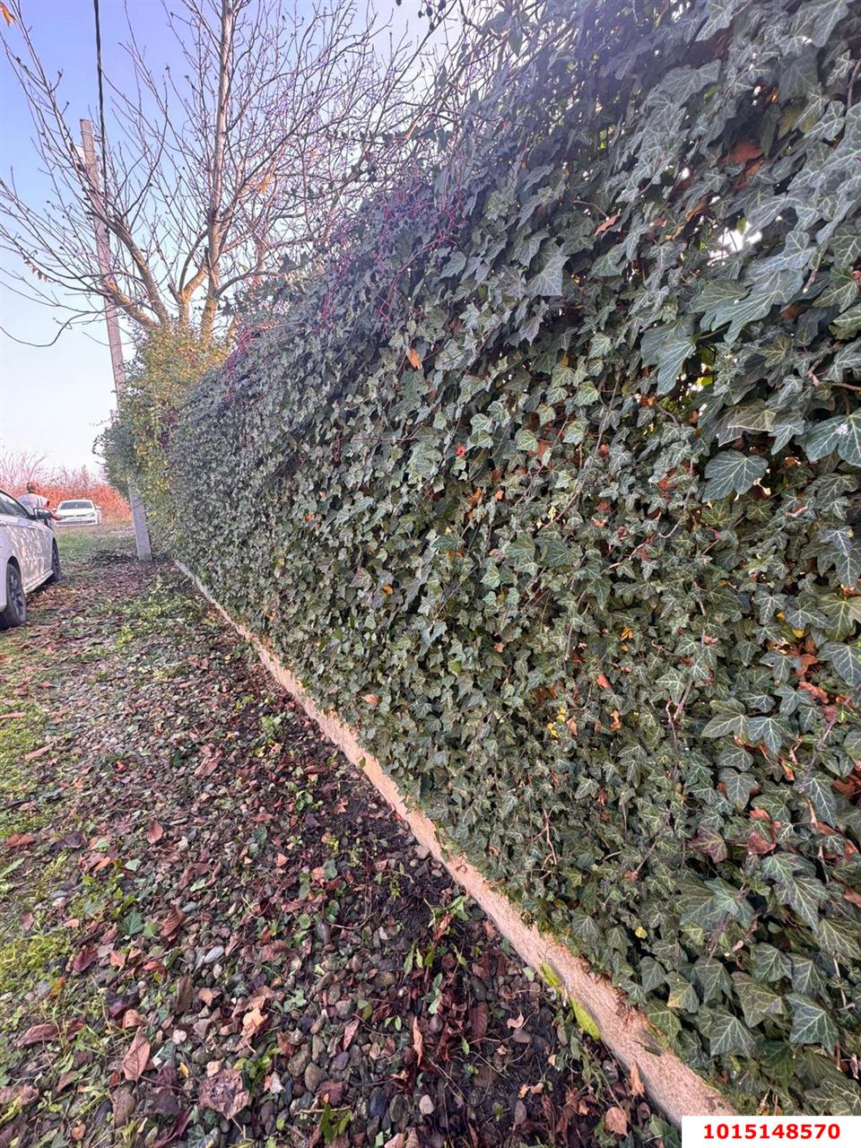 Фото №2: Участок садоводство 8.12 сот. - Елизаветинская, Фруктовый, ул. Клубничная, 194