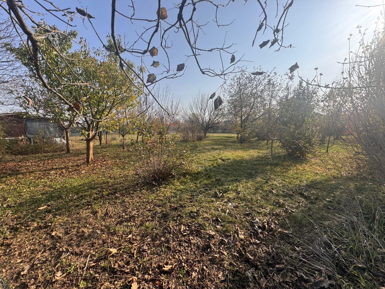 Фото №2: Земельный участок 8.12 сот. - Елизаветинская, Прикубанский внутригородской округ, ст Фруктовый, ул. Клубничная, 194