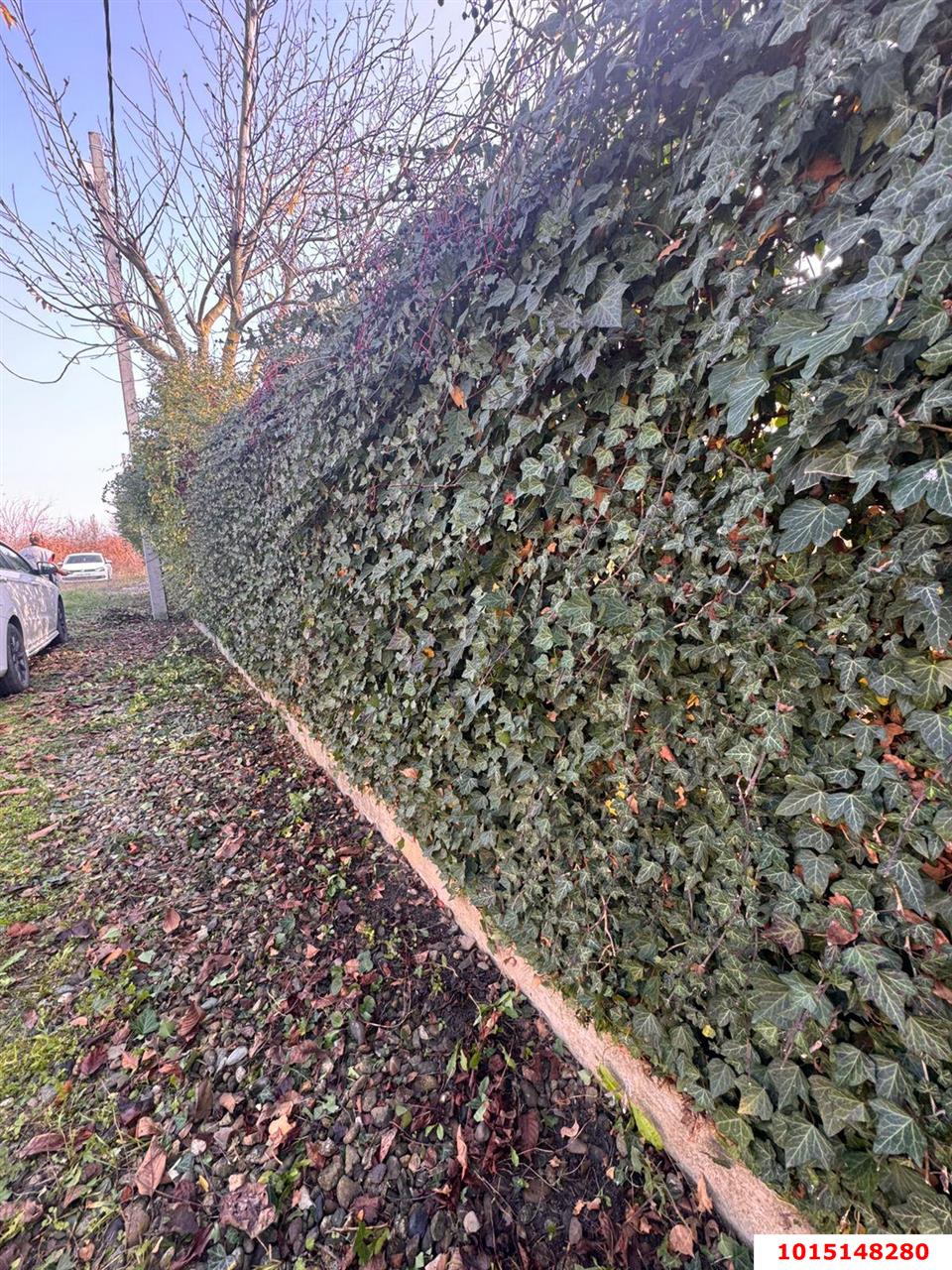 Фото №1: Участок садоводство 8.1 сот. - Елизаветинская, Фруктовый, ул. Клубничная, 195