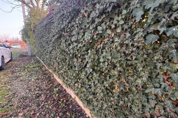 Фото №1: Участок садоводство 8.1 сот. - Елизаветинская, ст Фруктовый, ул. Клубничная, 195