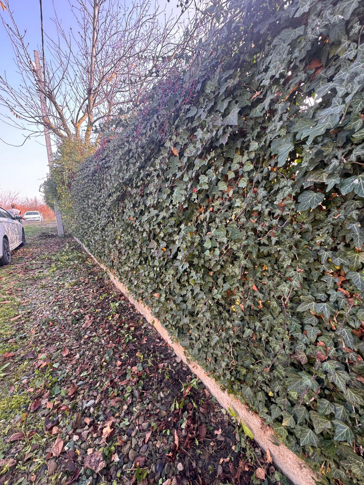 Фото №1: Земельный участок 8.1 сот. - Елизаветинская, Прикубанский внутригородской округ, ст Фруктовый, ул. Клубничная, 195