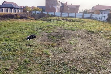 Фото №4: Земельный участок под ИЖС 10 сот. - Новая Адыгея, 