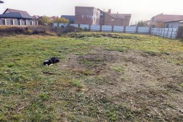 Фото №4: Земельный участок 10 сот. - Новая Адыгея, 