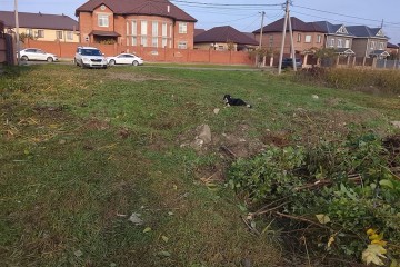 Фото №1: Земельный участок под ИЖС 10 сот. - Новая Адыгея, 