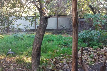 Фото №2: Земельный участок под ИЖС 4.5 сот. - Краснодар, мкр. Табачная Фабрика, ул. Дачная, 230